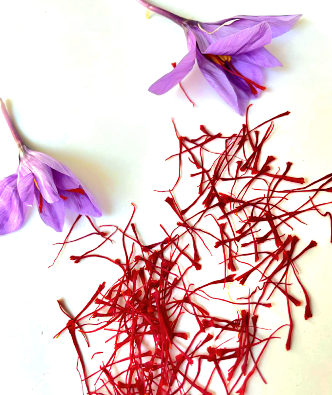 2 gm Award Winner Refill Package Case of 24