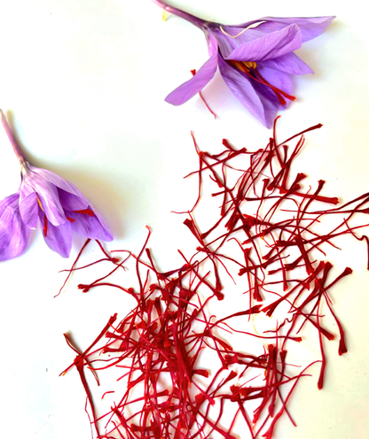 2 gm Award Winner Refill Package Case of 24